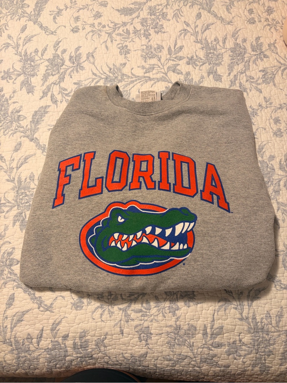 Champion Gray Florida Gators Crewneck Sweatshirt with Orange & Green Logo - Picture 1 of 2